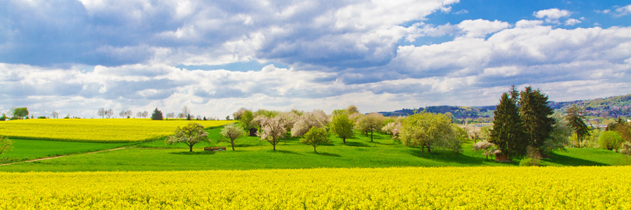 Landschaft (© J.Fälchle - fotolia)